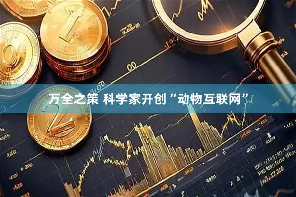 万全之策 科学家开创“动物互联网”