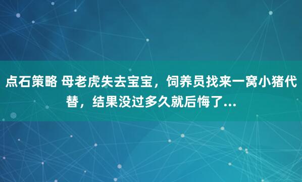 点石策略 母老虎失去宝宝，饲养员找来一窝小猪代替，结果没过多久就后悔了...