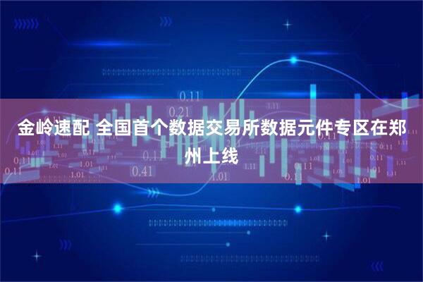 金岭速配 全国首个数据交易所数据元件专区在郑州上线
