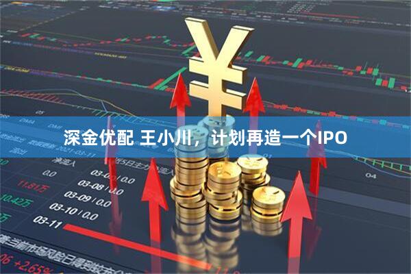 深金优配 王小川，计划再造一个IPO